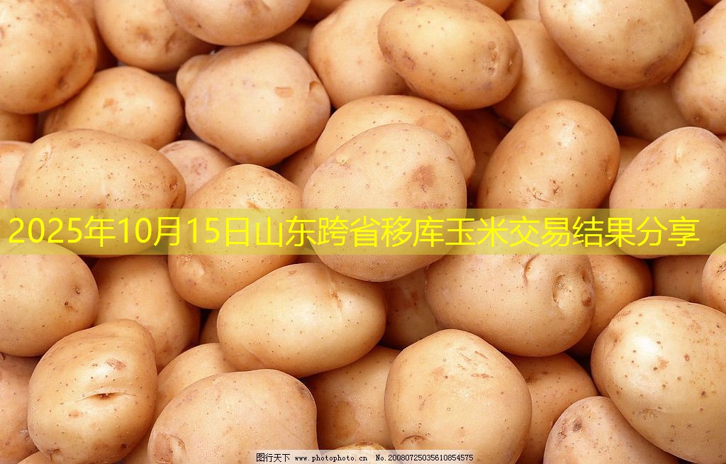 2025年10月15日山东跨省移库玉米交易结果分享