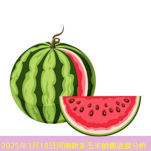 2025年3月18日河南新乡玉米销售进度分析