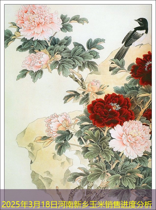 2025年3月18日河南新乡玉米销售进度分析