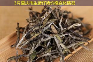 3月重庆市生猪仔猪价格变化情况