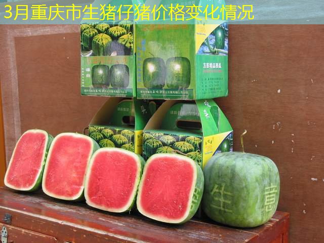 3月重庆市生猪仔猪价格变化情况