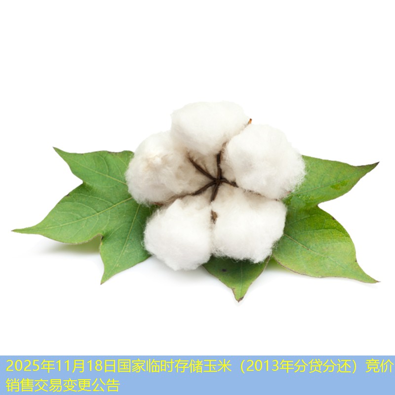 2025年11月18日国家临时存储玉米（2013年分贷分还）竞价销售交易变更公告