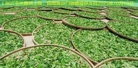 CBOT玉米期货上涨，因周度出口销售提供支持2025年10月03日