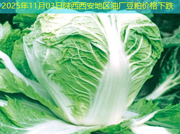 2025年11月03日陕西西安地区油厂豆粕价格下跌