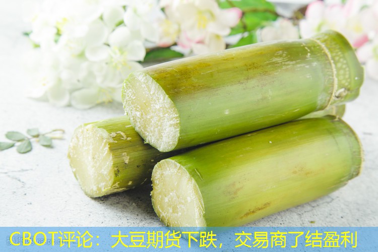 CBOT评论：大豆期货下跌，交易商了结盈利